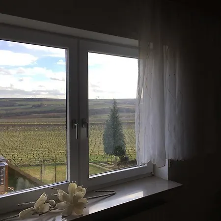 Apartment Ha-wei -80 M2 Hangen-Weisheim